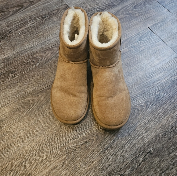 Size 8 uggs - Picture 1 of 4